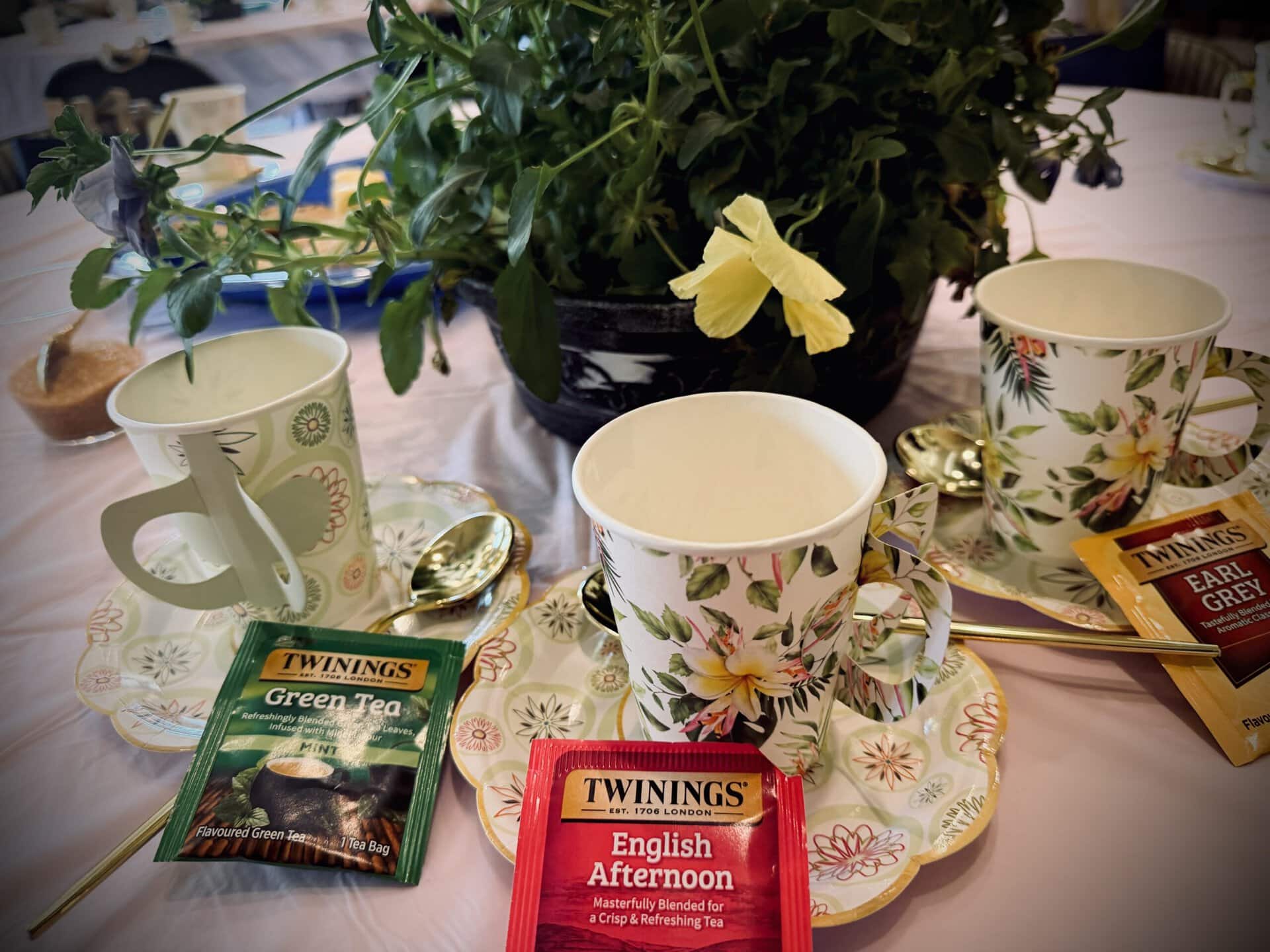 Retirement Community Mother’s Day Tea