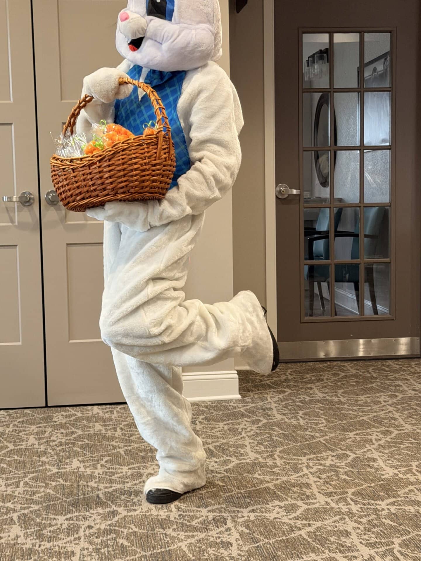 Spring Assisted Living Fun